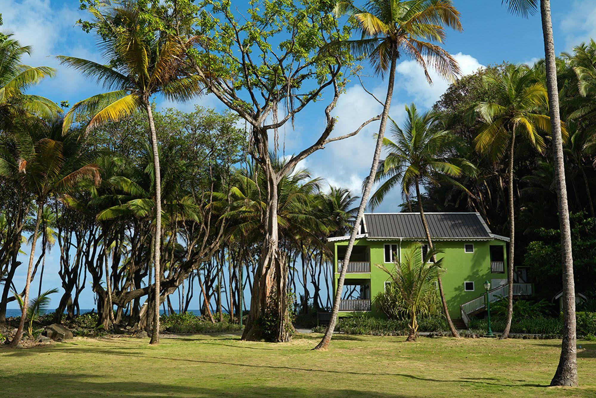 Rosalie Bay Resort מראה חיצוני תמונה